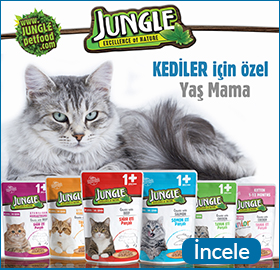 jungle-pouch-s-banner.jpg (95 KB)