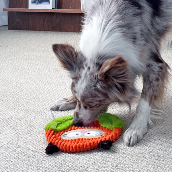 4114 Orman Kaşifi Baykuş – İpli Köpek Oyuncağı - 4