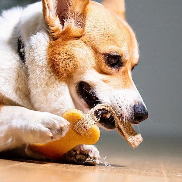 6039 Gum Gum Kurabiye Adam Köpek Oyuncağı - 3