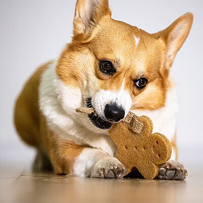 6039 Gum Gum Kurabiye Adam Köpek Oyuncağı - 4