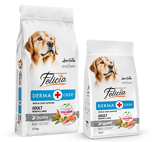 Felicia Süper Avantaj Paketi 