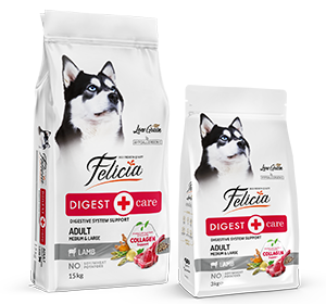 Felicia Süper Avantaj Paketi