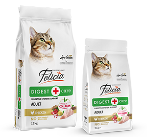 Felicia Süper Avantaj Paketi