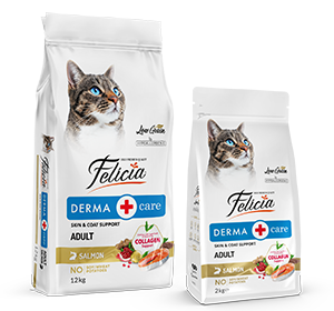 Felicia Süper Avantaj Paketi