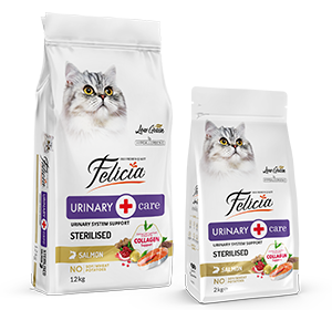 Felicia Süper Avantaj Paketi