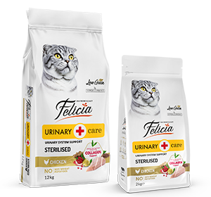 Felicia Süper Avantaj Paketi