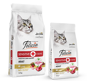 Felicia Süper Avantaj Paketi