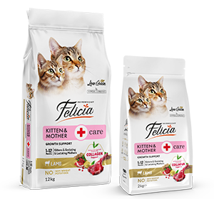 Felicia Süper Avantaj Paketi