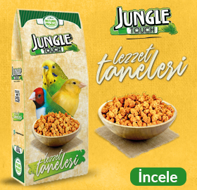 jungle-lezzet-taneleri.jpg (103 KB)