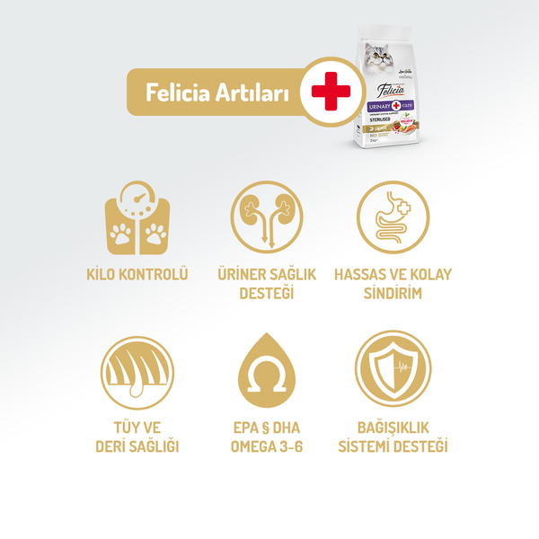 Felicia 12 Kg Kolajenli Somonlu Az Tahıllı Kısırlaştırılmış Kedi Maması HypoAllergenic Kedi Maması