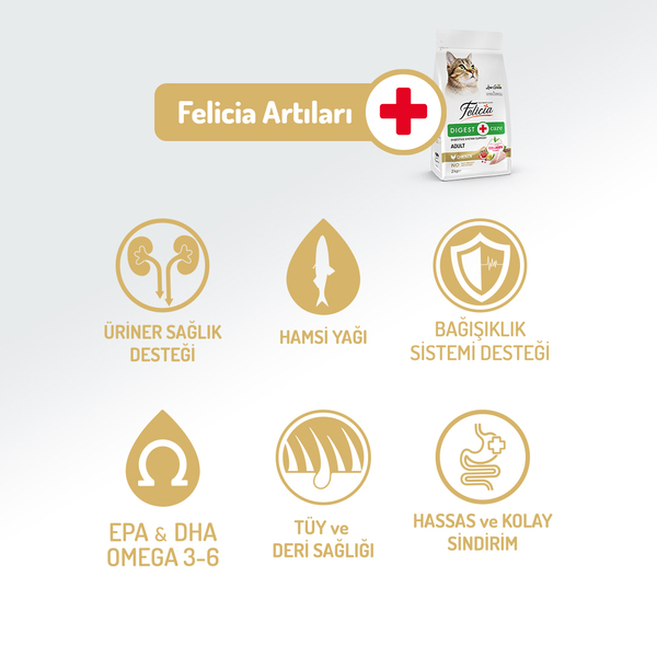 Felicia 12 Kg Kolajenli Tavuklu Az Tahıllı Yetişkin Kedi Maması HypoAllergenic Kedi Maması