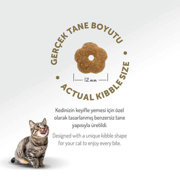 Felicia 12 Kg Kolajenli Tavuklu Az Tahıllı Yetişkin Kedi Maması HypoAllergenic Kedi Maması