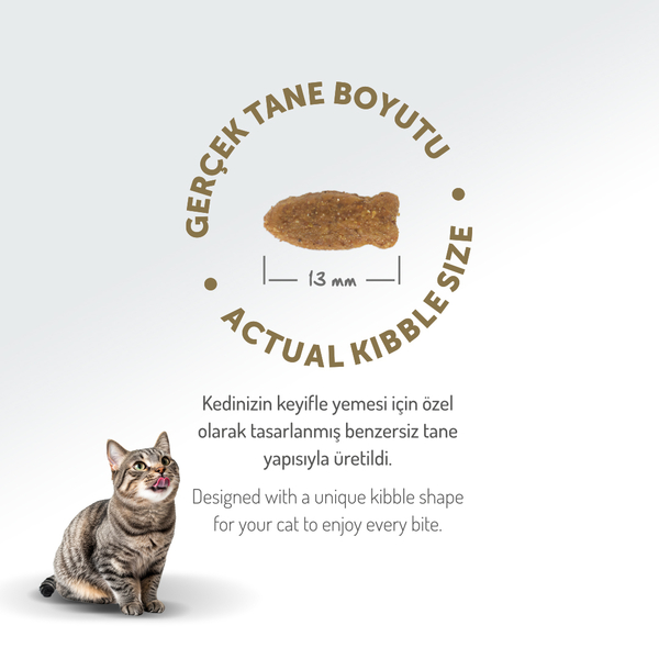 Felicia 2 Kg Kolajenli Somonlu Az Tahıllı Yetişkin Kedi Maması HypoAllergenic Kedi Maması - 7