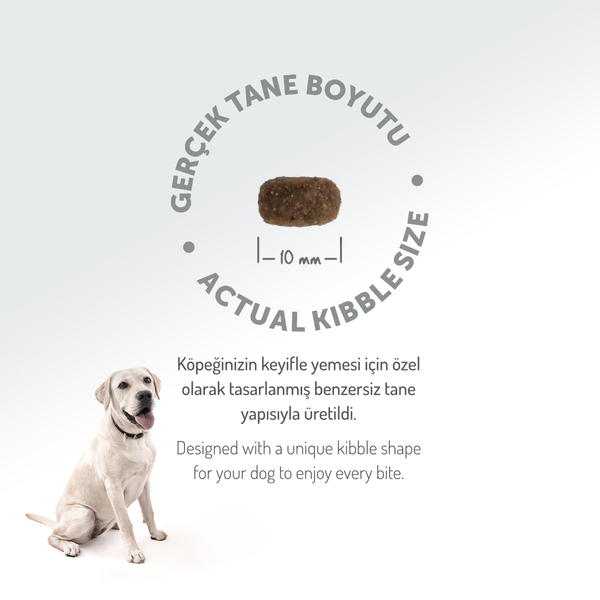 Felicia 3 Kg Kolajenli Kuzulu Az Tahıllı Small/Mini Yetişkin Köpek Maması HypoAllergenic Köpek Maması - 7