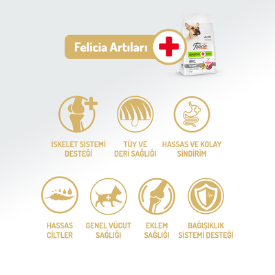 Felicia 3 Kg Kolajenli Kuzulu Az Tahıllı Small/Mini Yetişkin Köpek Maması HypoAllergenic Köpek Maması - 2