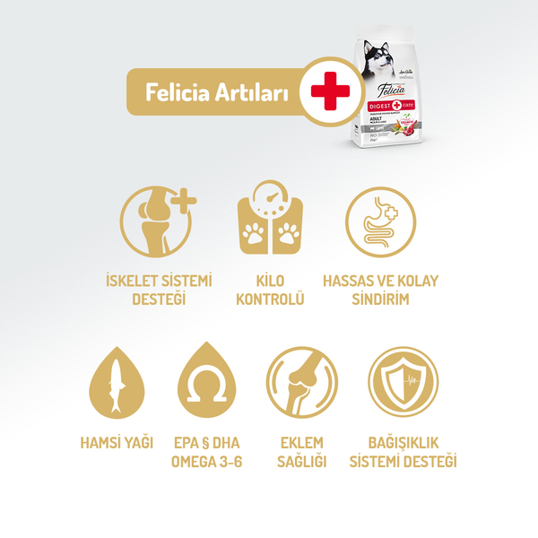 Felicia 3 Kg Kolajenli Kuzulu Az Tahıllı M/Large Yetişkin Köpek Maması Breed HypoAllergenic Köpek Maması - 2