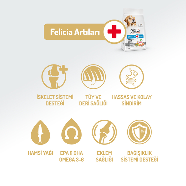 Felicia 3 Kg Kolajenli Somonlu Az Tahıllı M/Large Yetişkin Köpek Maması Breed HypoAllergenic Köpek Maması - 2