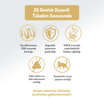 Felicia 5 Kg Kolajenli Somonlu Az Tahıllı Kısırlaştırılmış Kedi Maması HypoAllergenic Kedi Maması - 5