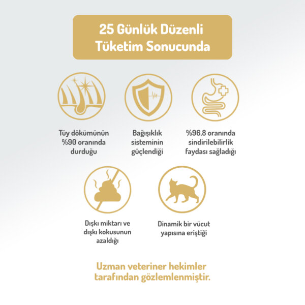 Felicia 5 Kg Kolajenli Somonlu Az Tahıllı Kısırlaştırılmış Kedi Maması HypoAllergenic Kedi Maması - 5