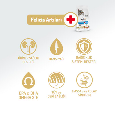 Felicia 5 Kg Kolajenli Somonlu Az Tahıllı Yetişkin Kedi Maması HypoAllergenic Kedi Maması - 2