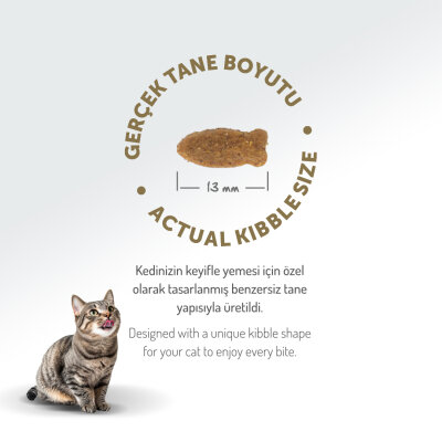 Felicia 5 Kg Kolajenli Somonlu Az Tahıllı Yetişkin Kedi Maması HypoAllergenic Kedi Maması - 6