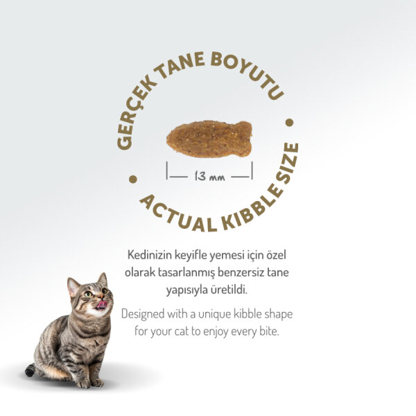 Felicia 5 Kg Kolajenli Somonlu Az Tahıllı Yetişkin Kedi Maması HypoAllergenic Kedi Maması - 6