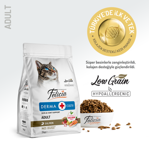 Felicia 5 Kg Kolajenli Somonlu Az Tahıllı Yetişkin Kedi Maması HypoAllergenic Kedi Maması - 1
