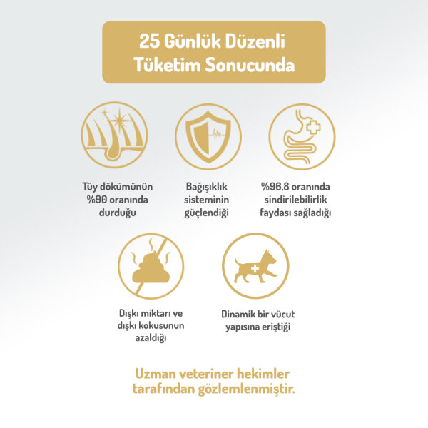 Felicia 6 Kg (2x3 Kg) Kolajenli Kuzulu Az Tahıllı M/Large Yetişkin Köpek Maması Breed HypoAllergenic Köpek Maması - 5