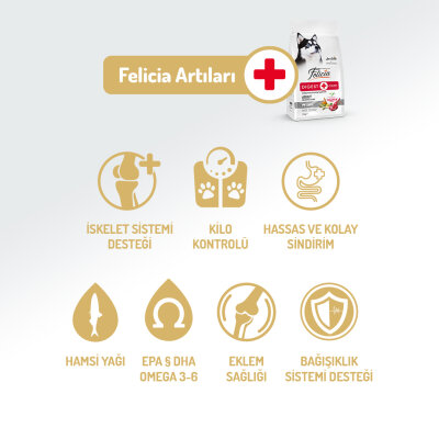 Felicia 6 Kg (2x3 Kg) Kolajenli Kuzulu Az Tahıllı M/Large Yetişkin Köpek Maması Breed HypoAllergenic Köpek Maması - 2