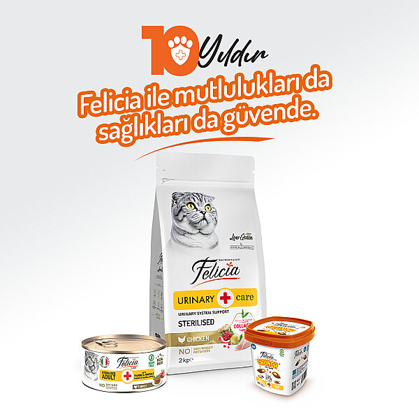 Felicia 85 Gr Hindili Ezme Kısırlaştırılmış Kedi Konserve Maması 24 Adet - 7