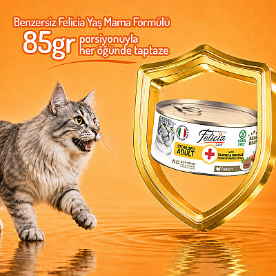 Felicia 85 Gr Hindili Ezme Kısırlaştırılmış Kedi Konserve Maması 24 Adet - 4