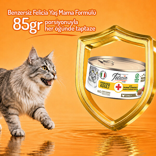 Felicia 85 Gr Hindili Ezme Kısırlaştırılmış Kedi Konserve Maması 24 Adet - 4