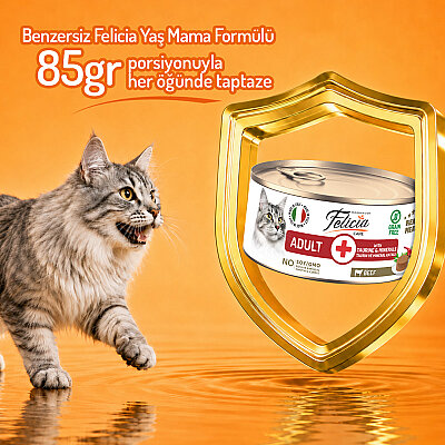 Felicia 85 gr Sığır Etli Ezme Yetişkin Kedi Konserve Maması 24 Adet - 4