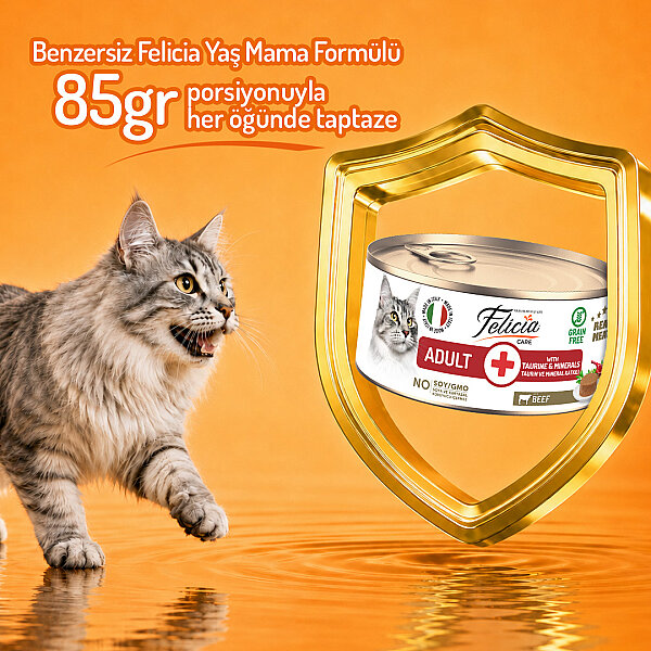 Felicia 85 gr Sığır Etli Ezme Yetişkin Kedi Konserve Maması 24 Adet - 4