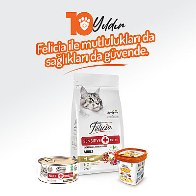 Felicia 85 gr Sığır Etli Ezme Yetişkin Kedi Konserve Maması 24 Adet - 7
