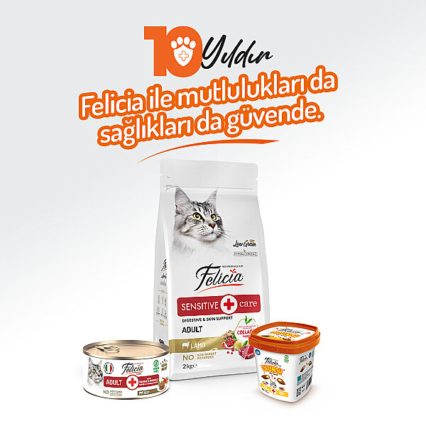 Felicia 85 gr Sığır Etli Ezme Yetişkin Kedi Konserve Maması 24 Adet - 7