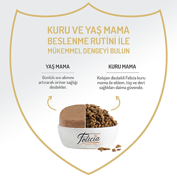 Felicia 85 gr Sığır Etli Ezme Yetişkin Kedi Konserve Maması 24 Adet - 2
