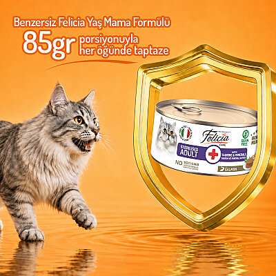 Felicia 85 gr Somonlu Ezme Kısırlaştırılmış Kedi Konserve Maması 24 Adet - 4