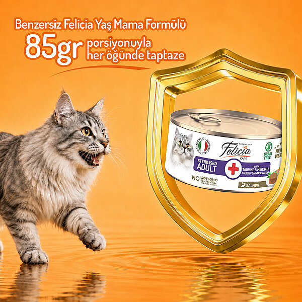 Felicia 85 gr Somonlu Ezme Kısırlaştırılmış Kedi Konserve Maması 24 Adet - 4