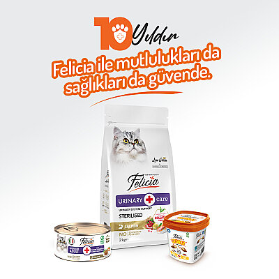 Felicia 85 gr Somonlu Ezme Kısırlaştırılmış Kedi Konserve Maması 24 Adet - 7