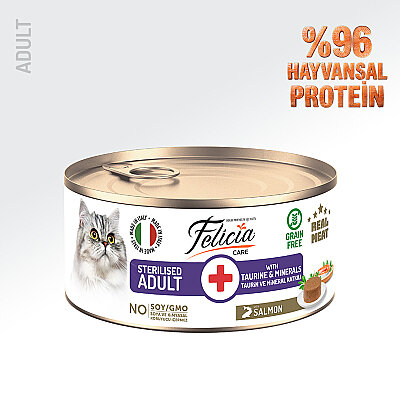 Felicia 85 gr Somonlu Ezme Kısırlaştırılmış Kedi Konserve Maması 24 Adet - Felicia