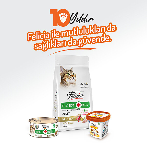 Felicia 85 gr Tavuklu Ezme Yetişkin Kedi Konserve Maması 24 Adet - 5