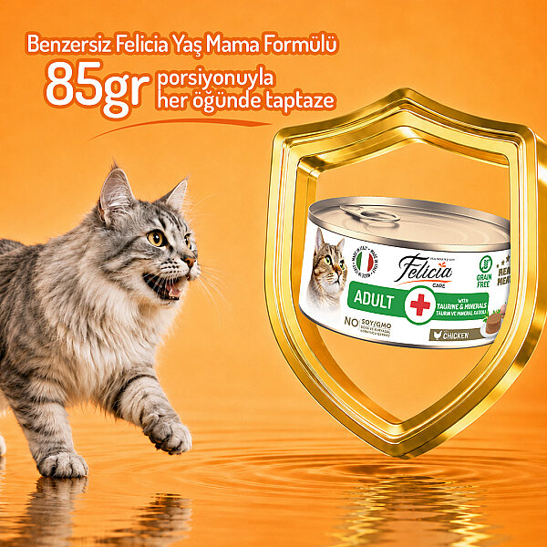 Felicia 85 gr Tavuklu Ezme Yetişkin Kedi Konserve Maması 24 Adet - 4