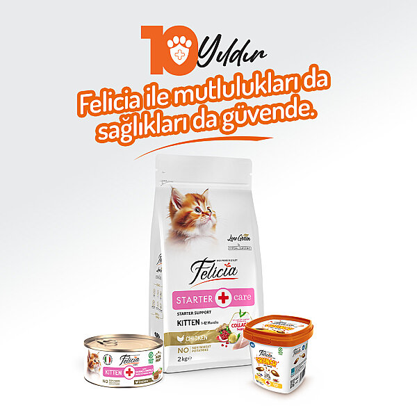 Felicia 85 gr Tavuklu Püre Yavru Kedi Konserve Maması 24 Adet - 6