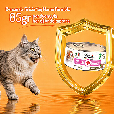 Felicia 85 gr Tavuklu Püre Yavru Kedi Konserve Maması 24 Adet - 4
