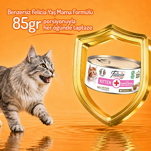 Felicia 85 gr Tavuklu Püre Yavru Kedi Konserve Maması 24 Adet - 4