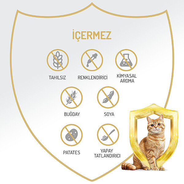 Felicia 85 gr Ton Balıklı Ezme Yetişkin Kedi Konserve Maması 24 Adet - 5