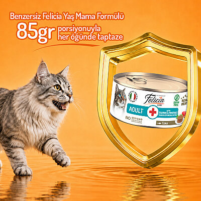 Felicia 85 gr Ton Balıklı Ezme Yetişkin Kedi Konserve Maması 24 Adet - 4