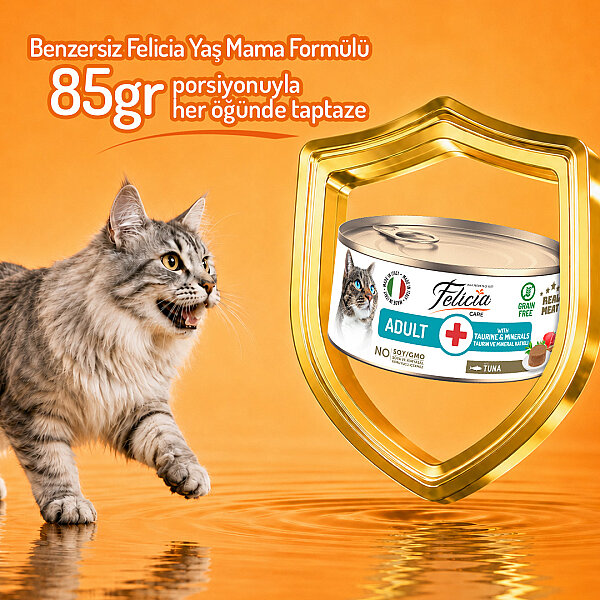 Felicia 85 gr Ton Balıklı Ezme Yetişkin Kedi Konserve Maması 24 Adet - 4
