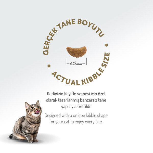 Felicia 12 Kg Kolajenli Kuzulu Az Tahıllı Yetişkin Kedi Maması HypoAllergenic Kedi Maması - 7